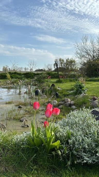 Oesterlen Oasis Spjutstorp Εξωτερικό φωτογραφία
